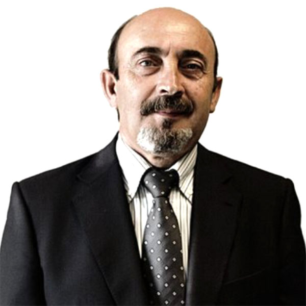 Manuel Villarroya Martín